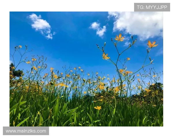 凯时尊龙人生就是搏：如何在逆境中坚持初心实现人生理想