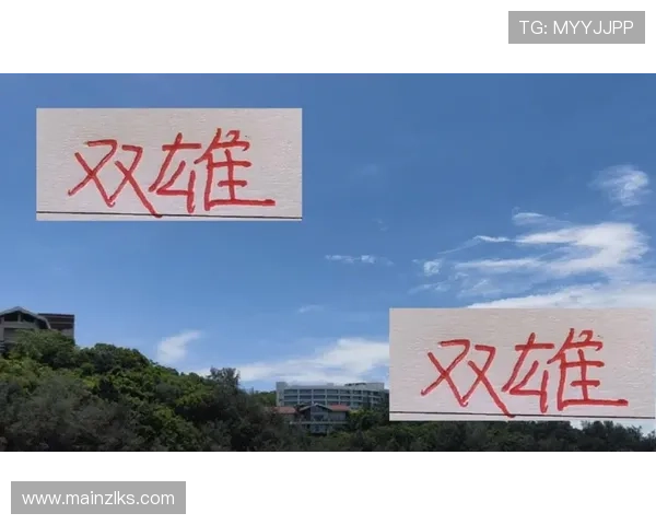 尊龙app电脑版下载官网官方渠道安全稳定下载推荐